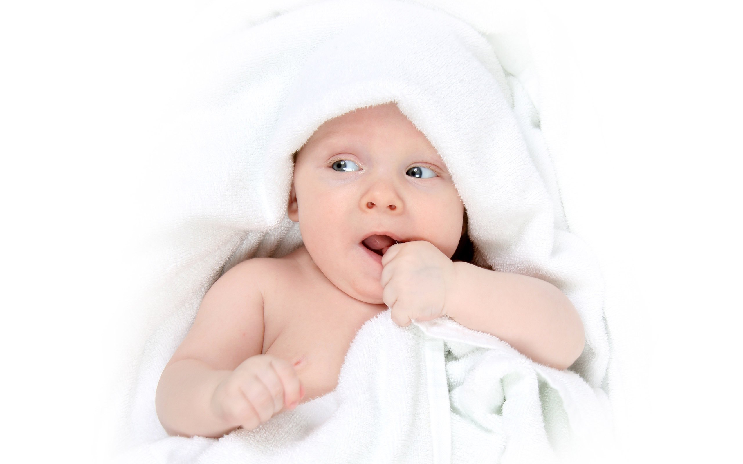 供卵代怀请问试管婴儿成功率高吗